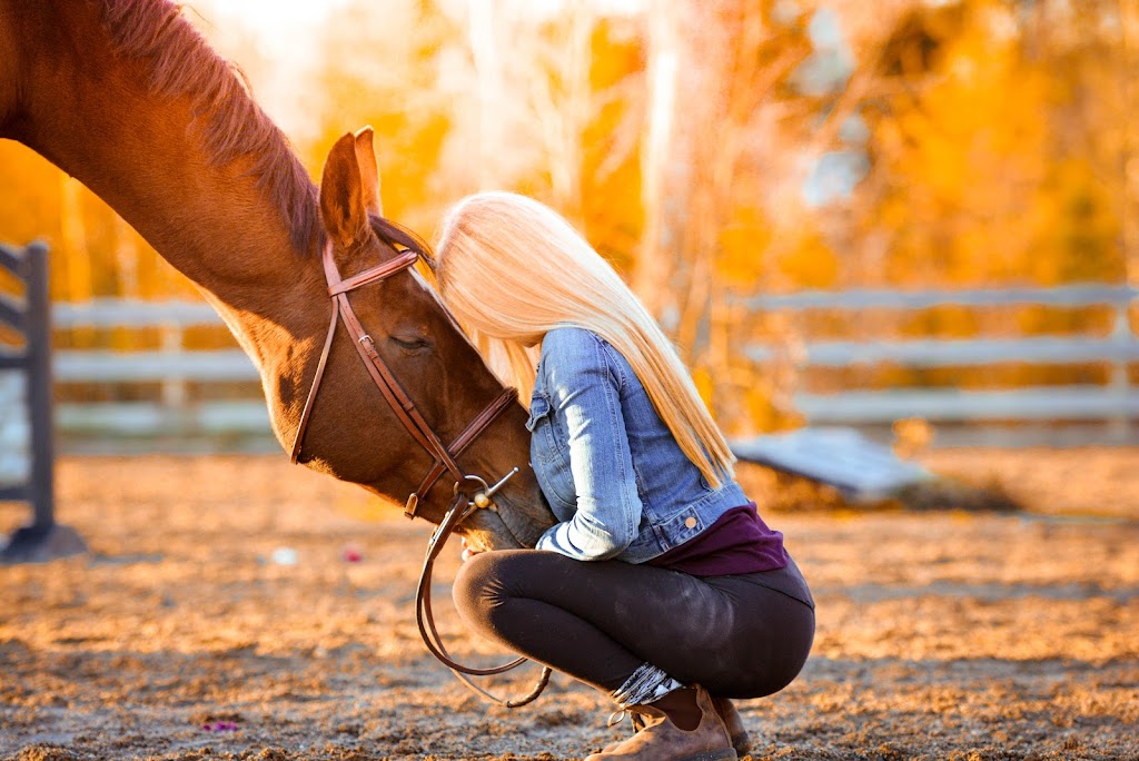 JShoebridge Photography | 81 Terradore Ln, Hammonds Plains, NS B4B 1S7, Canada | Phone: (902) 220-6553