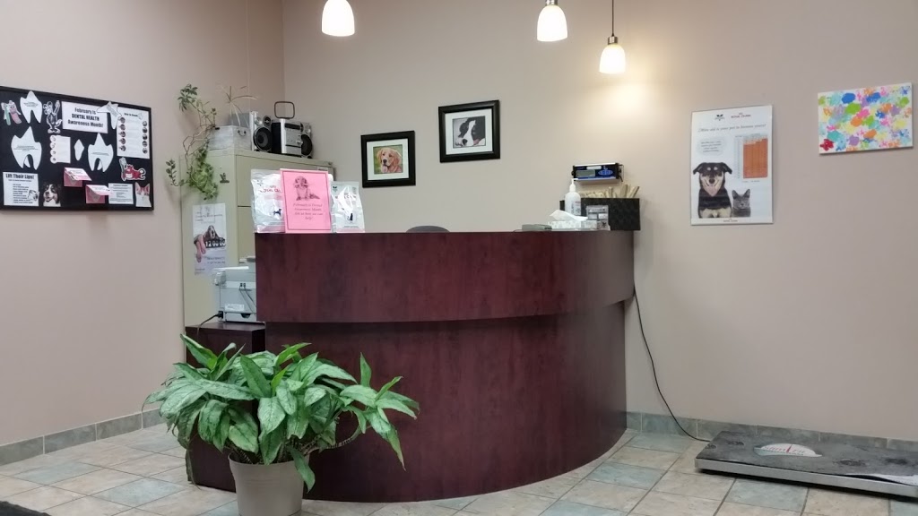 Hollybank Animal Hospital | 1030 Kennedy Cir, Milton, ON L9T 0J9, Canada | Phone: (905) 864-0022