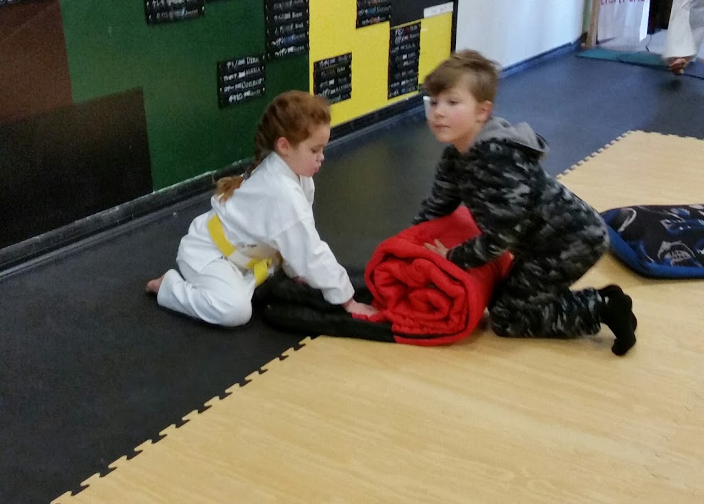 Mountain Martial Arts | 290 Barton St, Stoney Creek, ON L8E 2K6, Canada | Phone: (905) 664-6313