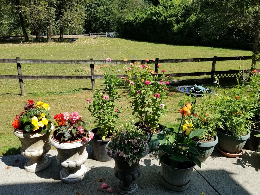 VICKYS B+B | 12708 224 St, Maple Ridge, BC V2X 6C1, Canada | Phone: (604) 861-1233