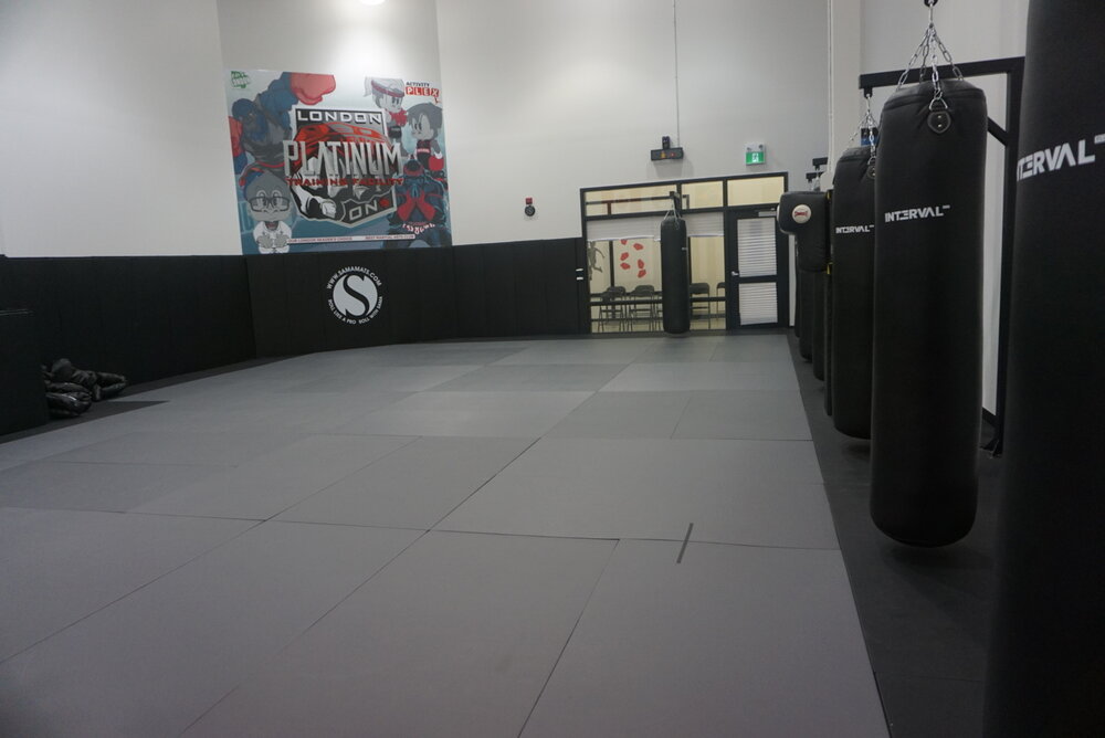 Platinum Training Facility | 1305 Commissioners Rd E, London, ON N6M 0B8, Canada | Phone: (226) 271-8381