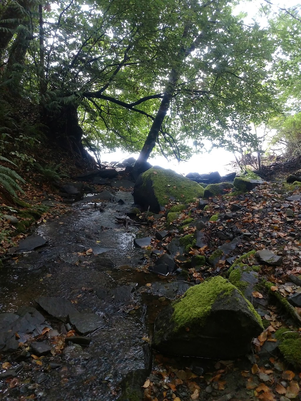 Manley Creek Park | Ratcliffe Rd, Cobble Hill, BC V0R 1L4, Canada