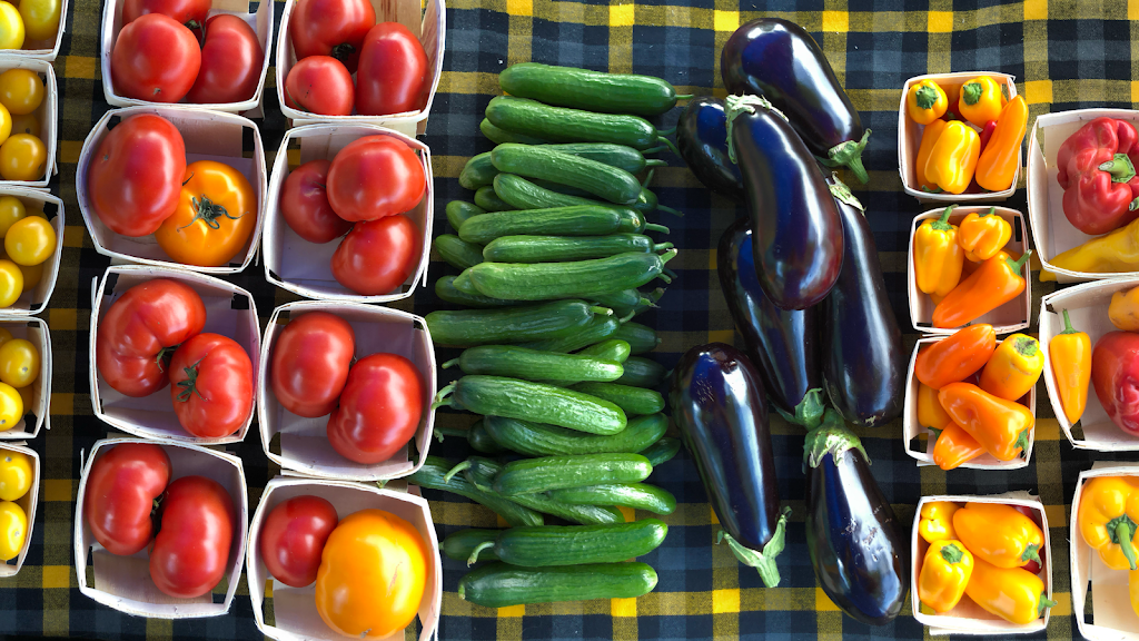 Les Jardins Dublin | 100 Route Dublin, Inverness, QC G0S 1K0, Canada | Phone: (418) 717-4183