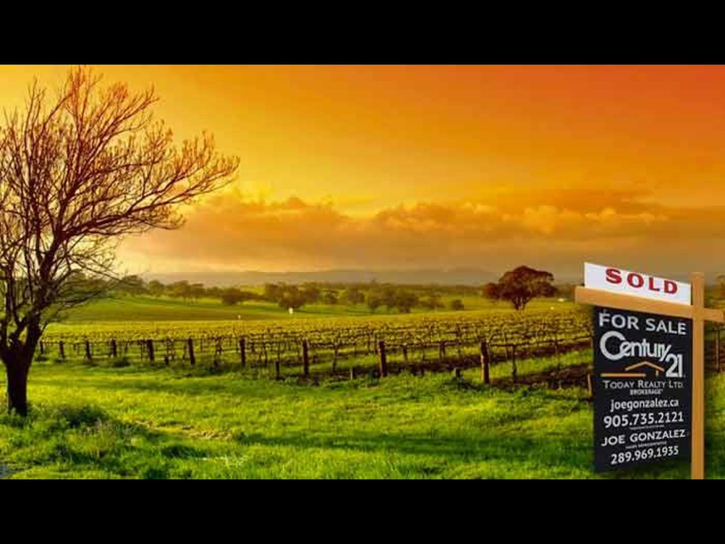 Joe Gonzalez Real Estate | 43434 Case Road, Wainfleet, ON L0S 1V0, Canada | Phone: (289) 969-1935