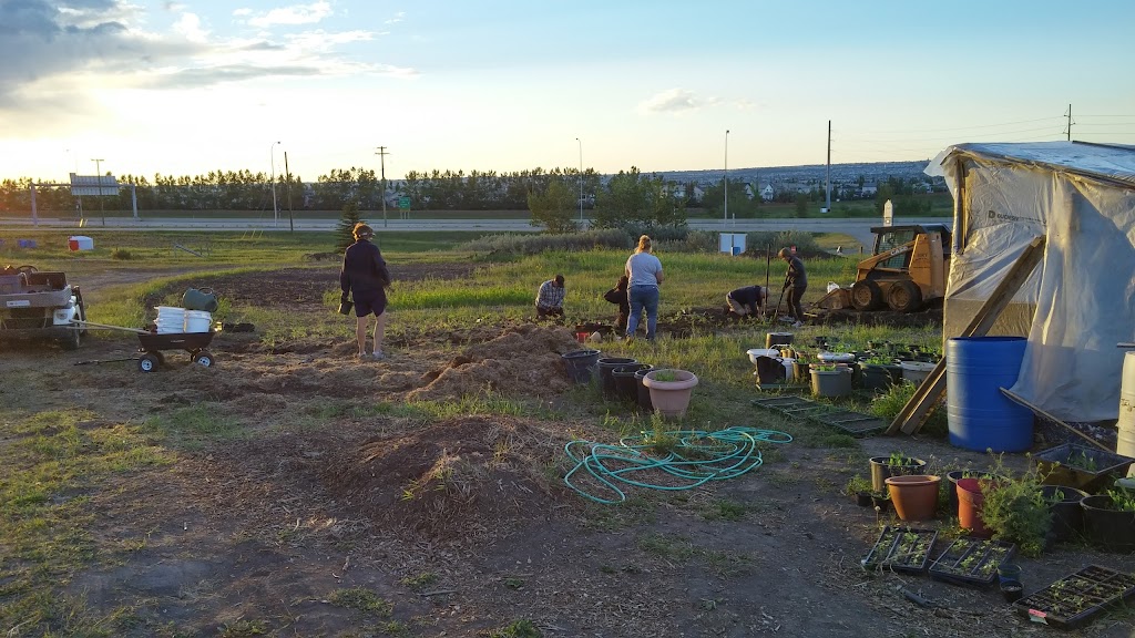 Grow Calgary Farm | Range Rd 293A, Alberta T0M 0E0, Canada | Phone: (403) 383-3420