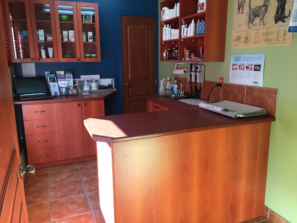 Clinique Vétérinaire Ste-Marie | 250 Boulevard Vachon N, Sainte-Marie, QC G6E 4G3, Canada | Phone: (418) 386-2999