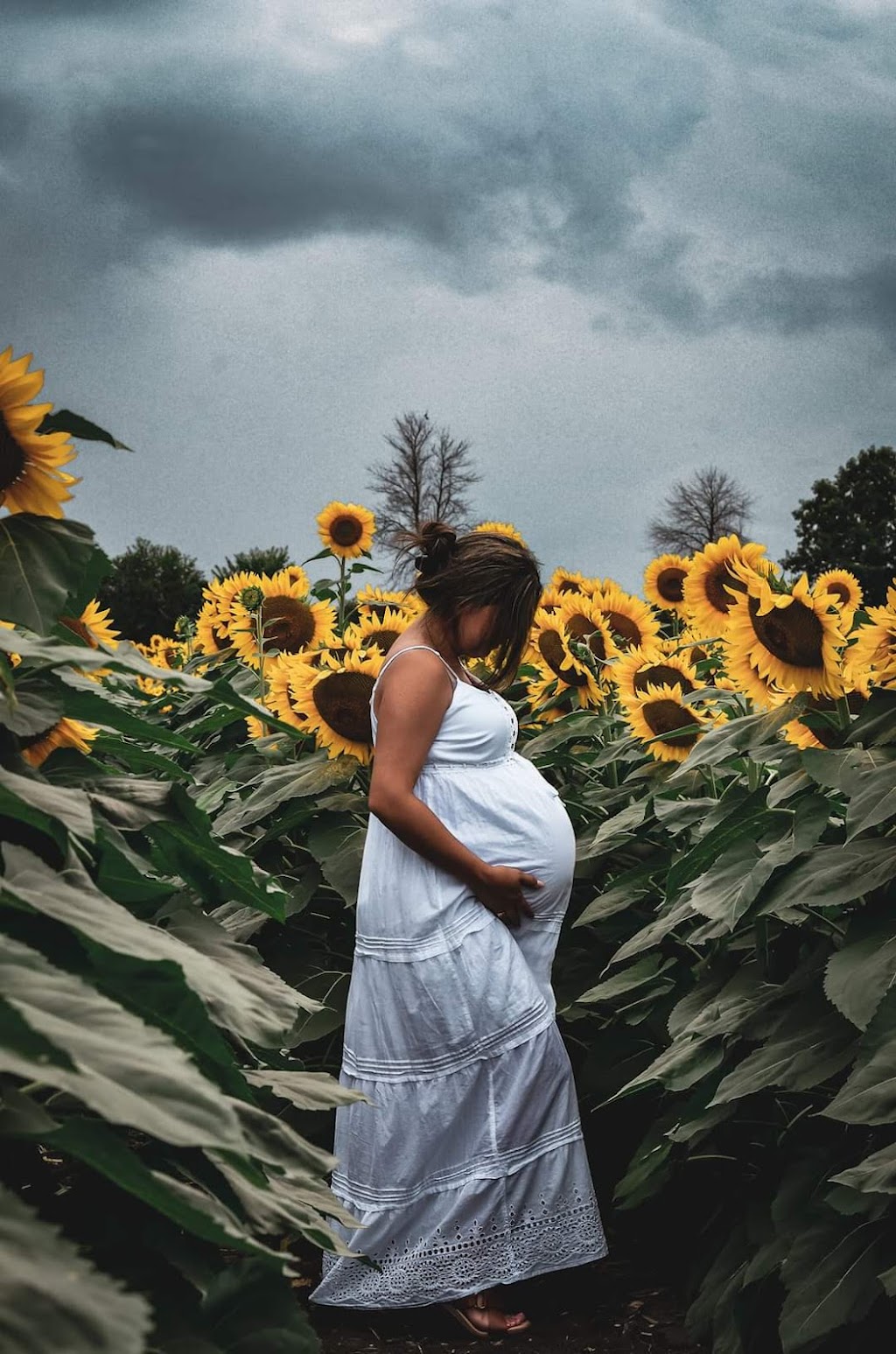 Felicia Mowers Photography | 33 Thompson Rd, Madoc, ON K0K 2K0, Canada | Phone: (613) 885-7626
