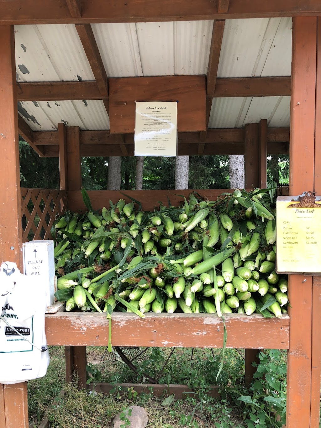 Van Tol’s Sweet Corn Guelph | 7857 Eastview Rd, Guelph, ON N1H 6J1, Canada | Phone: (905) 536-1283