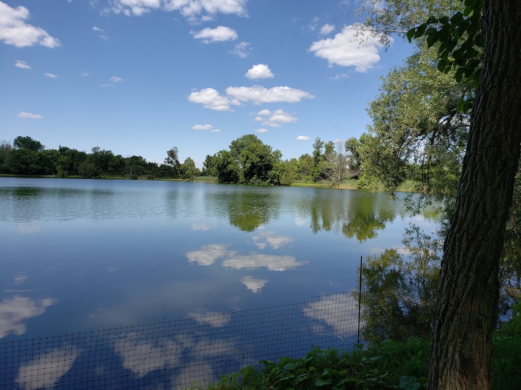 Christel Lake Lavender | 1381 Scugog Line 12, Greenbank, ON L0C 1B0, Canada | Phone: (905) 985-9060