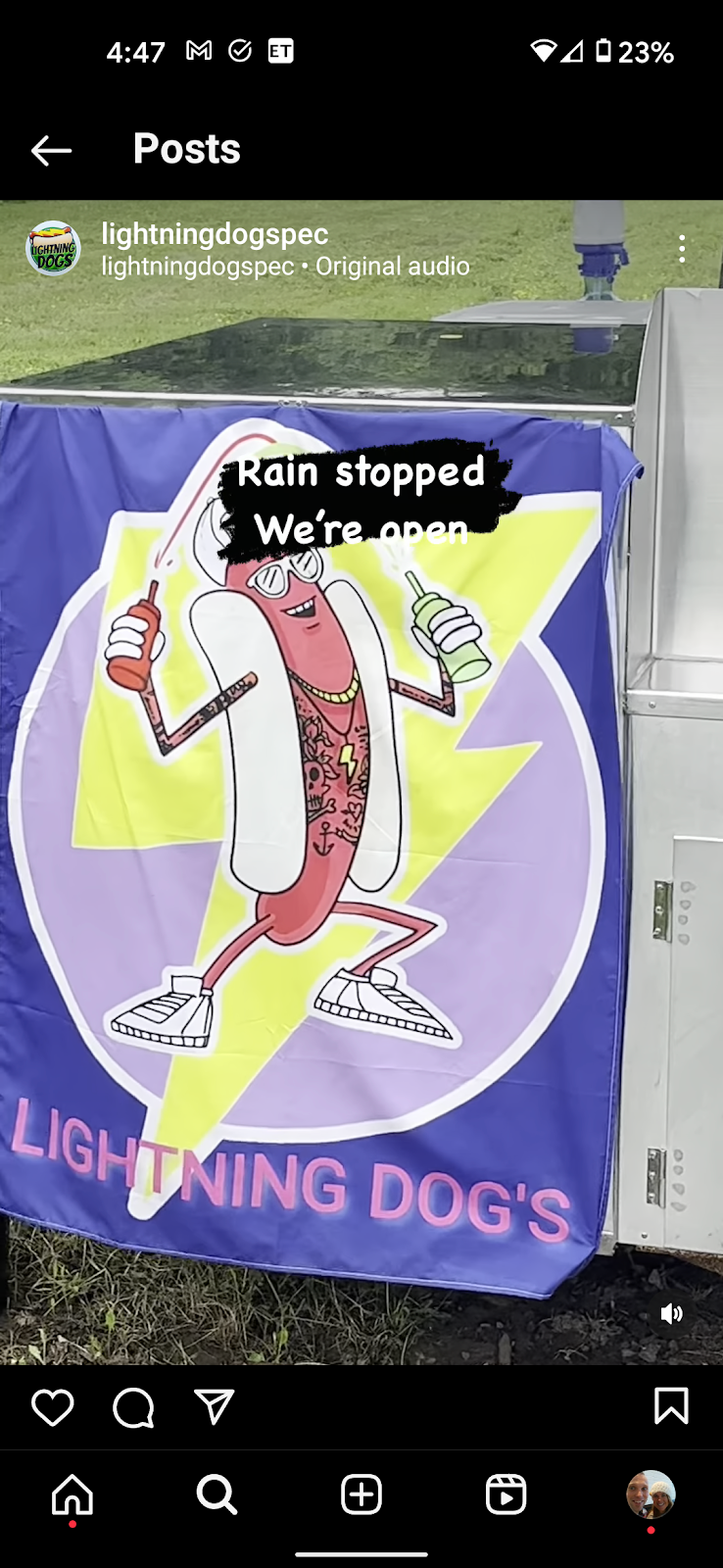 Lightning Dogs | 1316 Wilson Rd, Bloomfield, ON K0K 1G0, Canada | Phone: (613) 503-2165