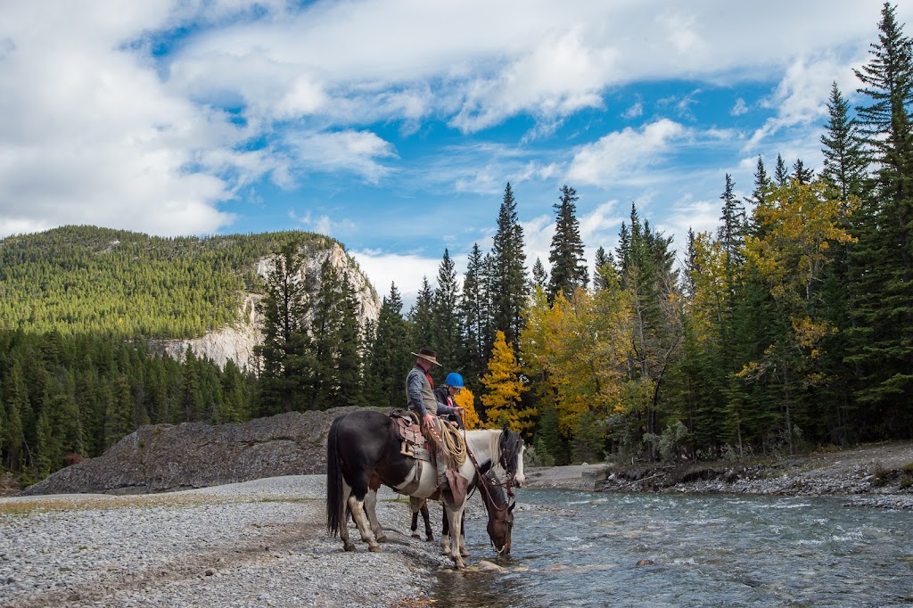 Banff Trail Riders - Corrals | Spray Ave, Banff, AB T1L 1B3, Canada | Phone: (403) 762-4551