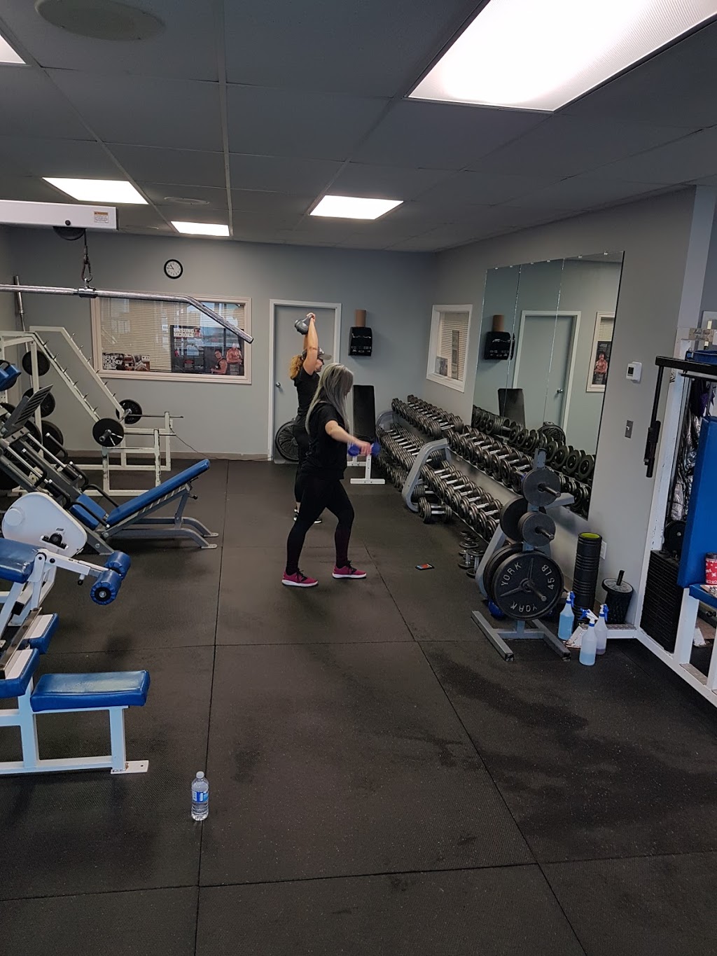 Hercs Wellness Clinic | 410 Hamilton Regional Rd 8 Unit 1, Stoney Creek, ON L8G 1G2, Canada | Phone: (905) 930-9373