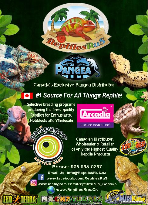 ReptilesRuS | point of interest | 1100 Skae Dr, Oshawa, ON L1J 8H6, Canada | 2893163135 OR +1 289-316-3135