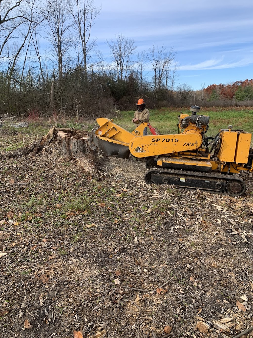 Bob the Urban Arborist | 3498 Cockshutt Rd, Scotland, ON N0E 1R0, Canada | Phone: (519) 498-8746