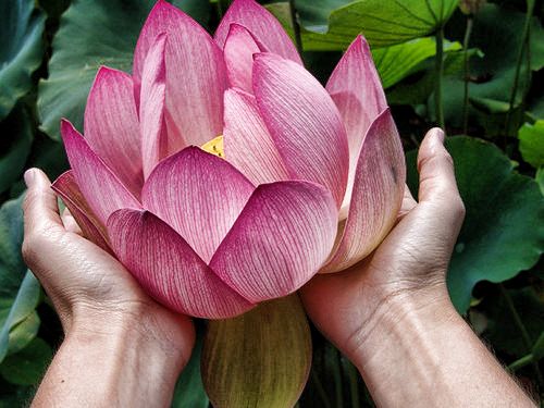 Lanna Thai Massage | 891 66 Ave, Grand Forks, BC V0H 1H4, Canada | Phone: (250) 442-1411
