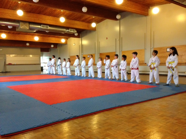 Shelburne BW Taekwondo | 802 Main St E Unit #5, Shelburne, ON L9V 2Z5, Canada | Phone: (519) 925-9254