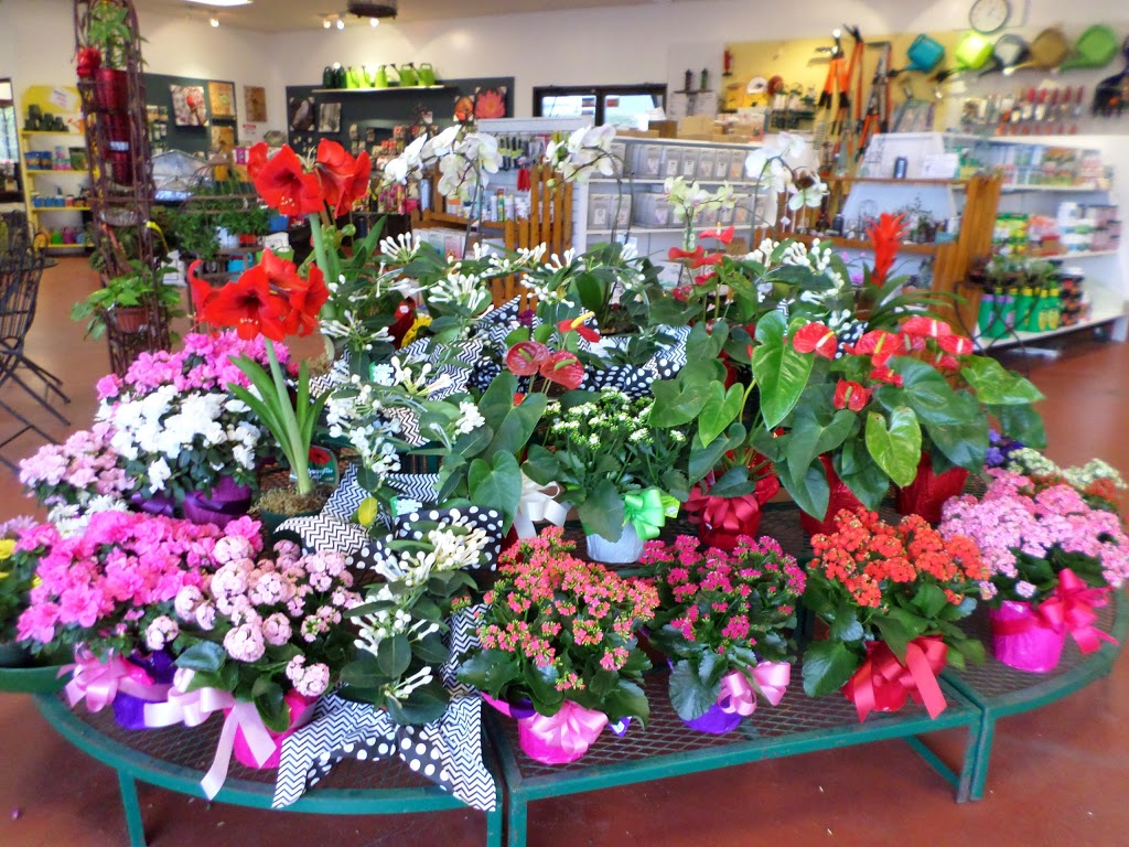 Hunters Garden Centre & Flower Shop | 15175 72 Ave, Surrey, BC V3S 2G3, Canada | Phone: (604) 590-2431