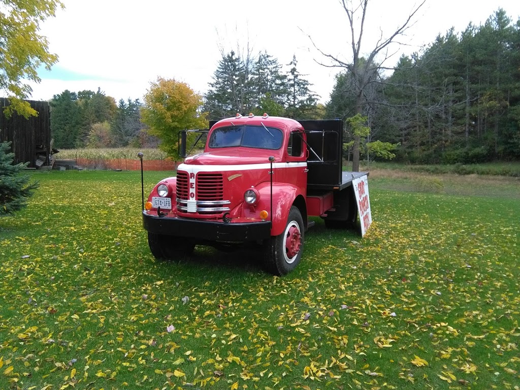 Bry-Anne Farms | 471 Foss Rd, Fenwick, ON L0S 1C0, Canada | Phone: (905) 892-8999