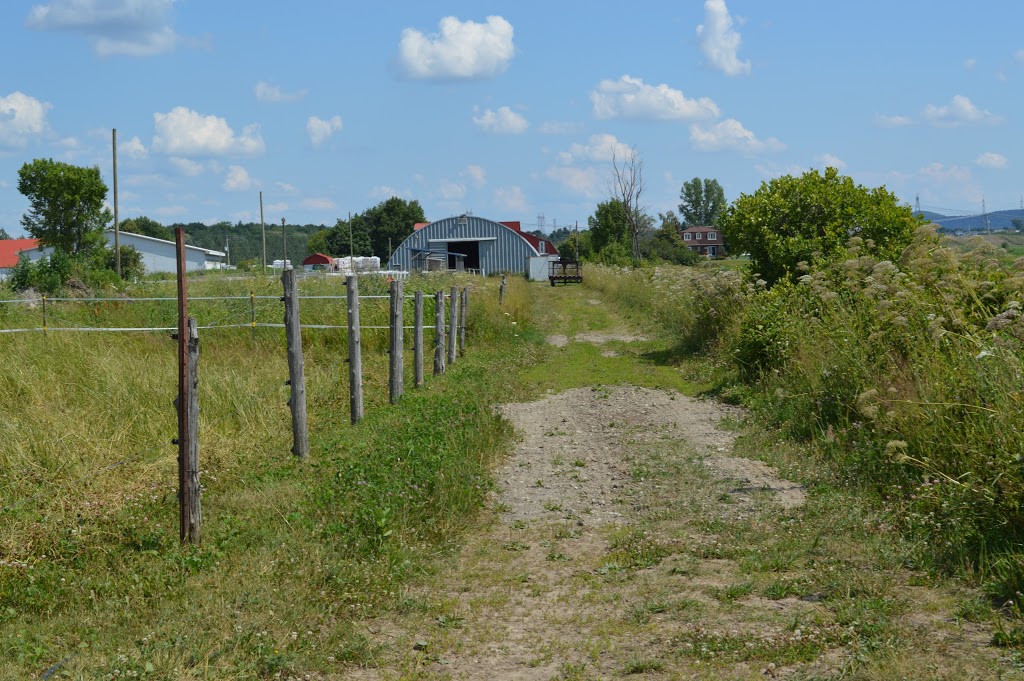 Equestrian Center Belle Rivière | 1463 Rang de la Belle-Rivière, Sainte-Julie, QC J3E 1Y2, Canada | Phone: (450) 922-2714