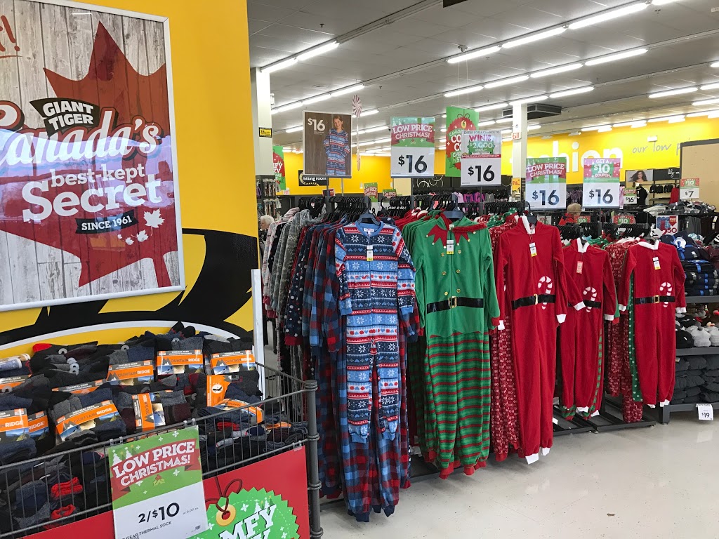 Giant Tiger | 82 King George Rd, Brantford, ON N3R 5K4, Canada | Phone: (519) 753-8577