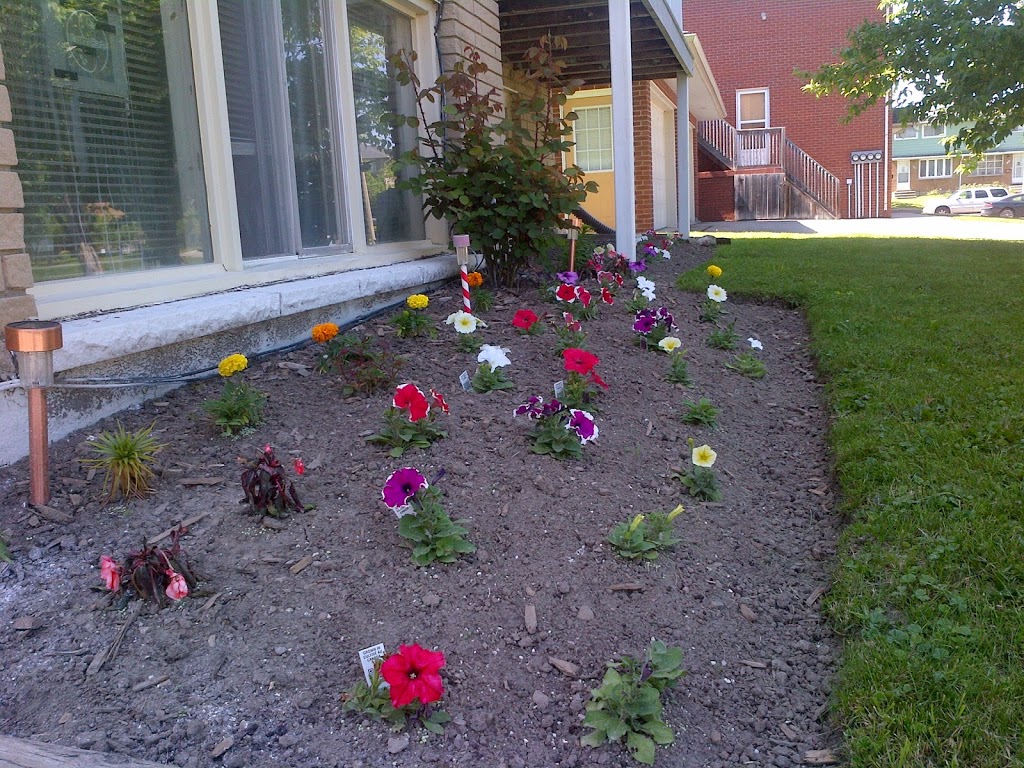 Utopian Earth | 10 Bonfield Pl, Kitchener, ON N2E 1H5, Canada | Phone: (519) 744-2891