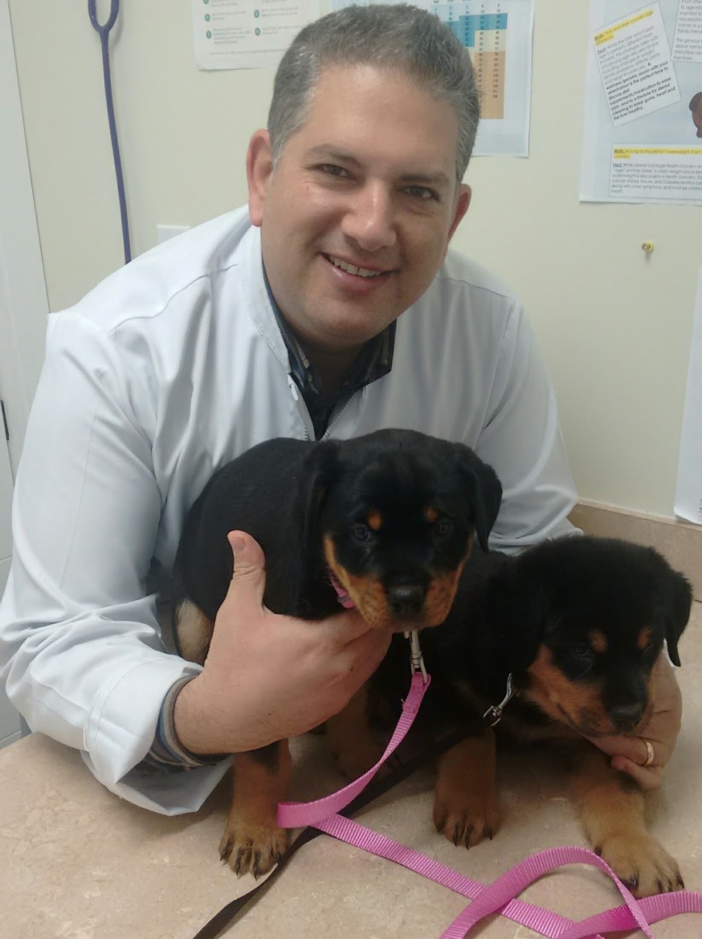 Montrose Pet Clinic Inc | 6002 29 Ave, Beaumont, AB T4X 0H5, Canada | Phone: (780) 929-7363