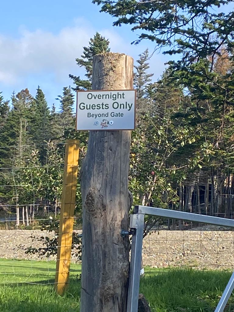 South Dildo Park | Trinity Rd South 80.55015818769154, 47 52763963628915, -53, South Dildo, NL A0B 1R0, Canada | Phone: (709) 746-4341