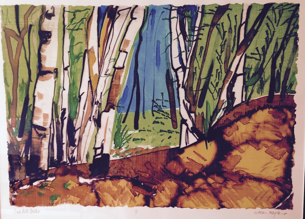 Marion Meyers Art Studio | 318 McDonald St, Port Perry, ON L9L 1L6, Canada | Phone: (905) 985-1335