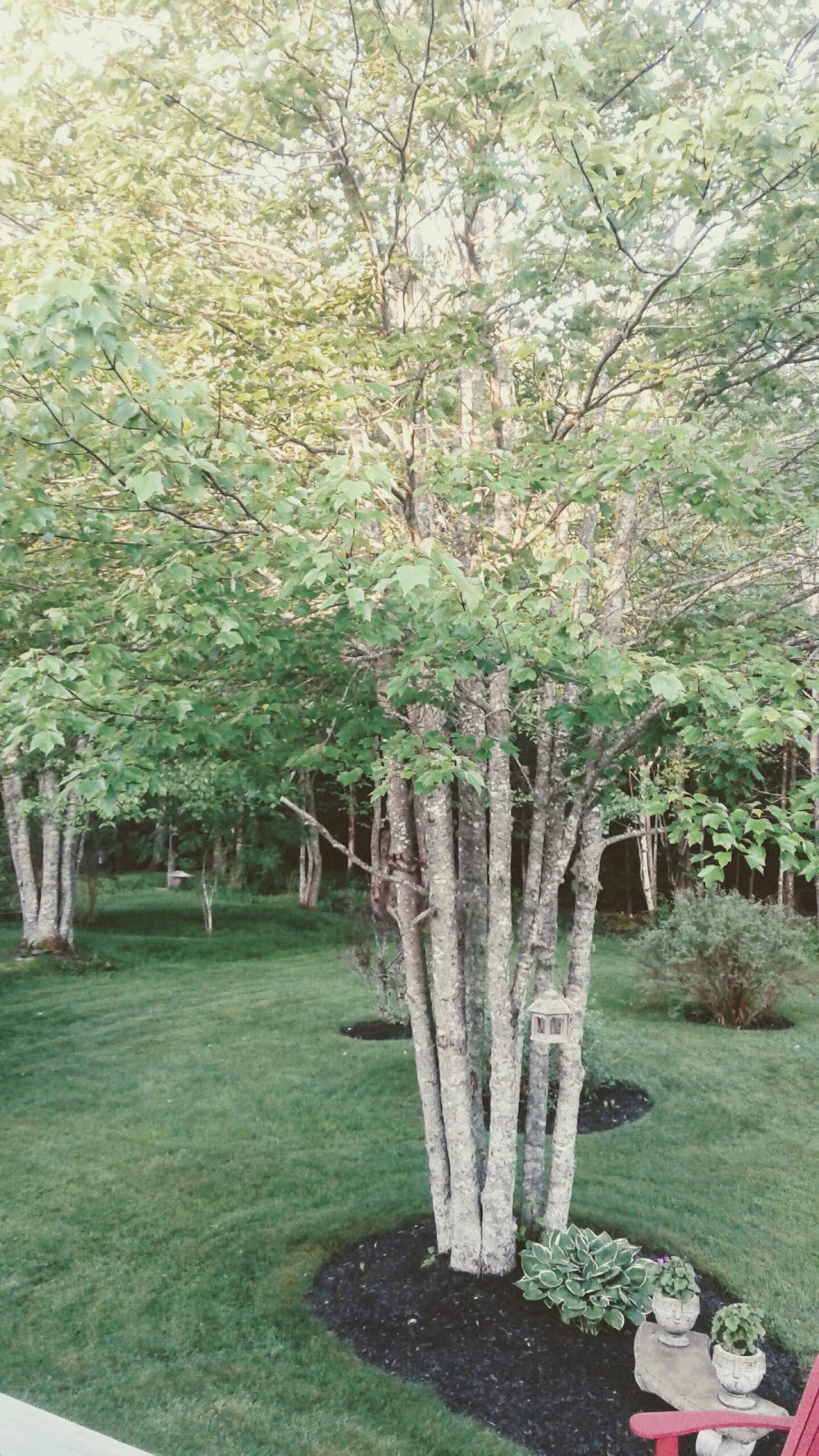 Lost Art Stonework | 34 Charleswood Dr, Windsor Junction, NS B2T 1G3, Canada | Phone: (902) 220-5447