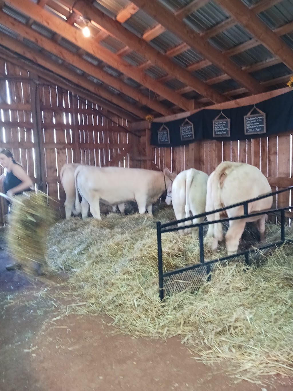Dundas Plowing Match and Agricultural Fair Grounds | 260 Little River Rd, Dundas, PE C0A 1G0, Canada | Phone: (902) 583-2723
