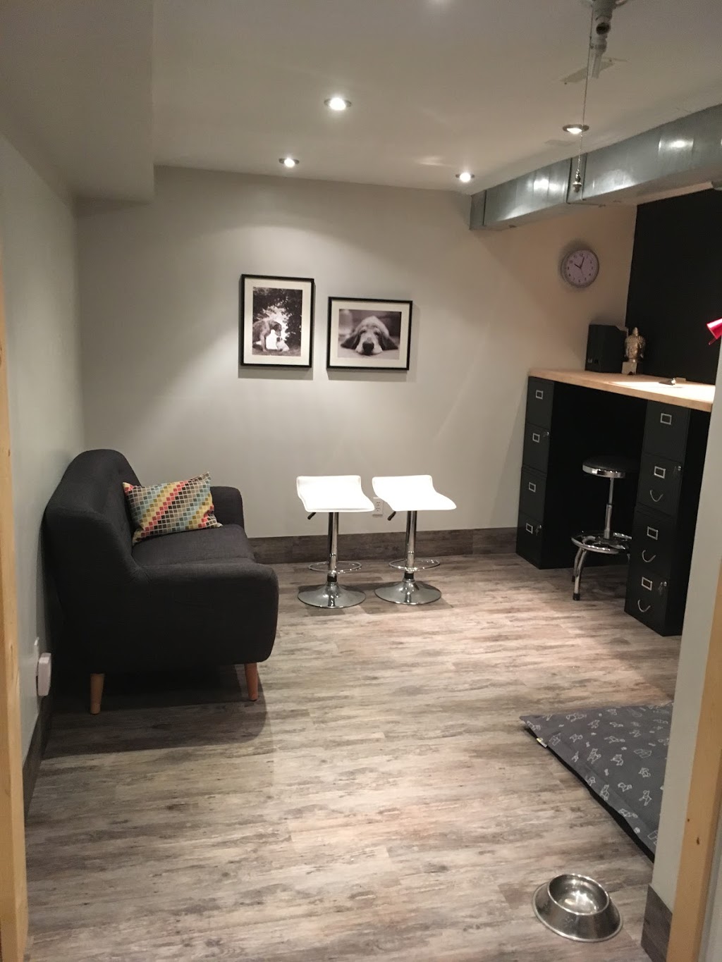 Pearly Whites For Pets | 35 Eaglestone Ln, Barrie, ON L4N 0J3, Canada | Phone: (705) 770-0373