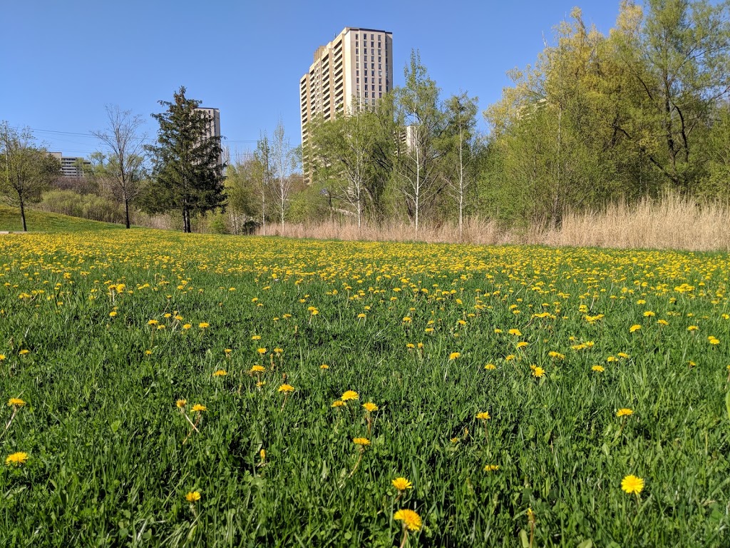 Derrydowns Park | 227 Derrydown Rd, North York, ON M3J 1S2, Canada | Phone: (416) 338-4386