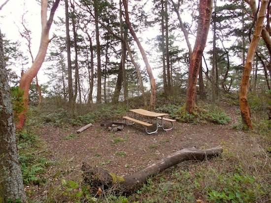 Lummi Island Campground | Lummi Island, WA 98262, USA