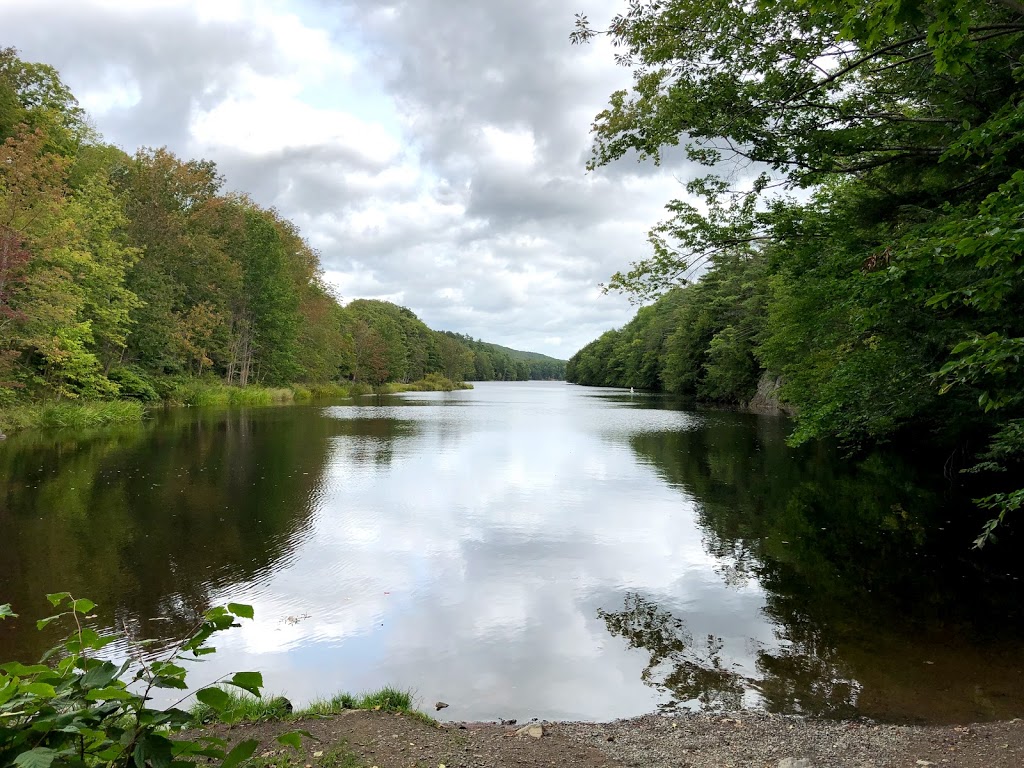 White Rock River Hike | Deep Hollow Rd, Wolfville, NS B4P 2R2, Canada | Phone: (902) 476-1613