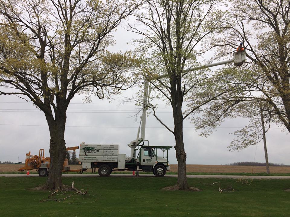 Bowerhill Services Inc | 230 Bower Hill Rd, Woodstock, ON N4S 2N4, Canada | Phone: (519) 535-0658
