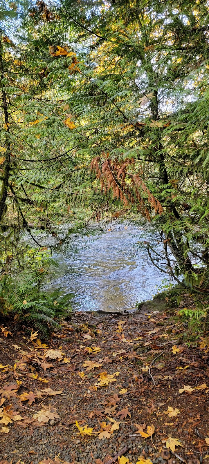 Rosewall Creek Provincial Park | BC-19, Fanny Bay, BC V0R 1W0, Canada | Phone: (250) 474-1336