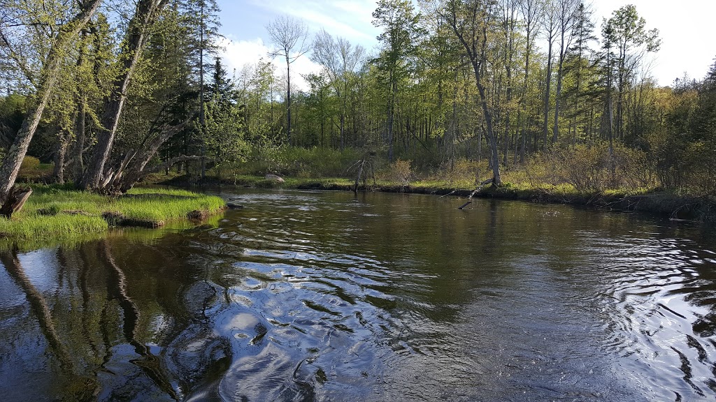 Clyde River Recreation LETS GO KAYAKING | 2314 VT-105, West Charleston, VT 05872, USA | Phone: (802) 895-4333