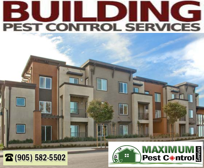 Maximum Pest Control Services | 1860 Appleby Line Suite 430, Burlington, ON L7L 7H7, Canada | Phone: (905) 582-5502