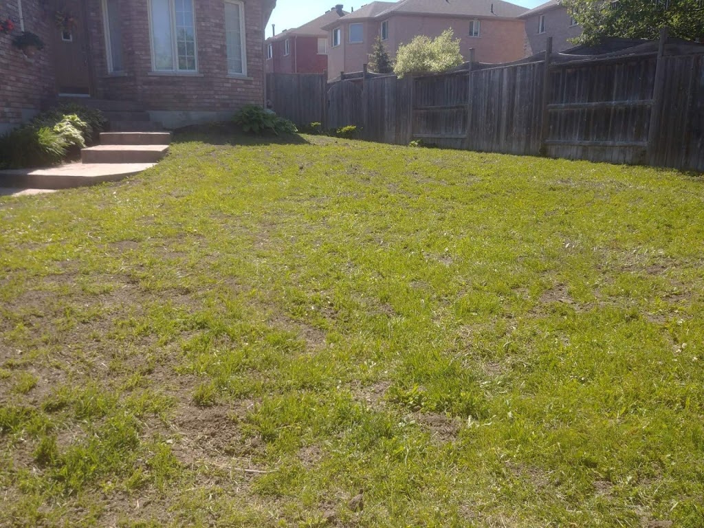 Black Cedar Landscape | 203 Browning Trail, Barrie, ON L4N 5H6, Canada | Phone: (705) 241-3232