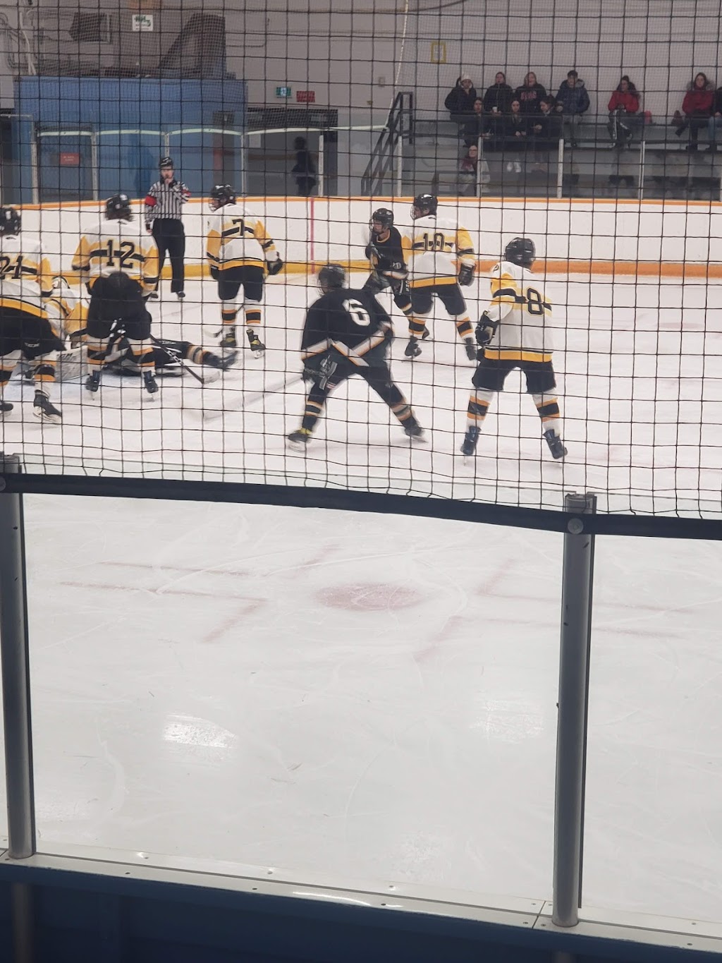 Billy Mosienko Arena | 709 Keewatin St, Winnipeg, MB R2X 2S6, Canada | Phone: (877) 311-4974