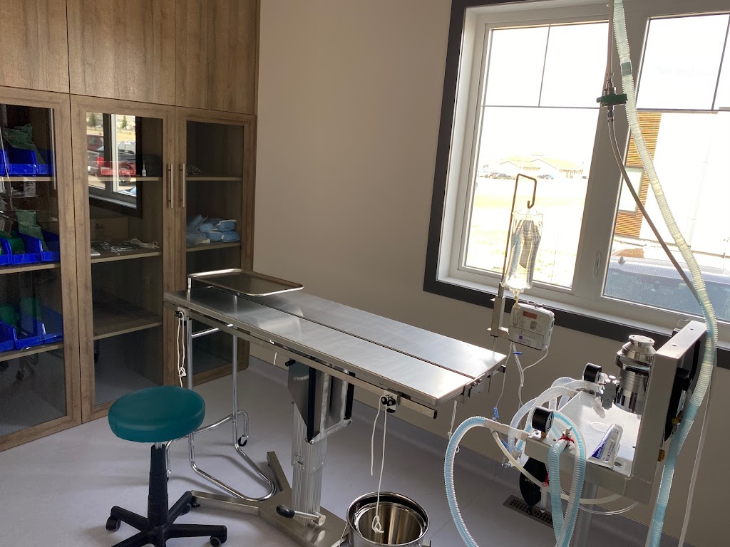 Peak Veterinary Hospital | 1340 Veterans St, Pincher Creek, AB T0K 1W0, Canada | Phone: (403) 904-1100