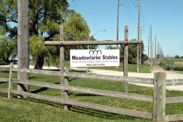 Meadowlarke Stables | 2800 Meadowpine Blvd, Mississauga, ON L5N 8C7, Canada | Phone: (905) 821-0419