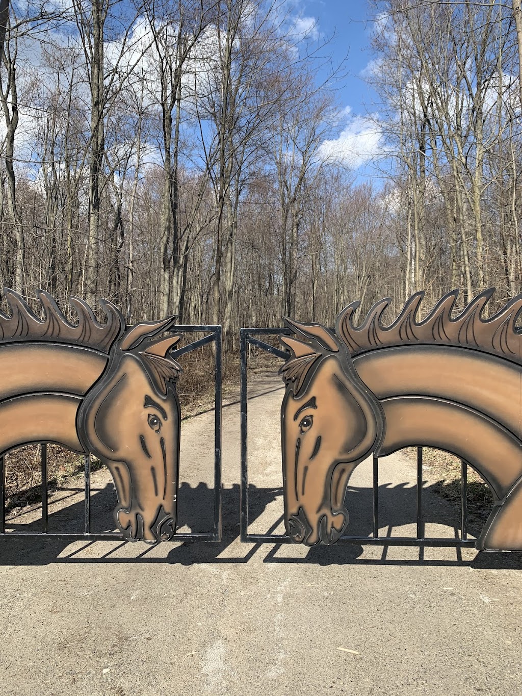 Bridlewood Equestrian | 8735 Milburough Town Line, Milton, ON L0P 1B0, Canada | Phone: (905) 407-0827
