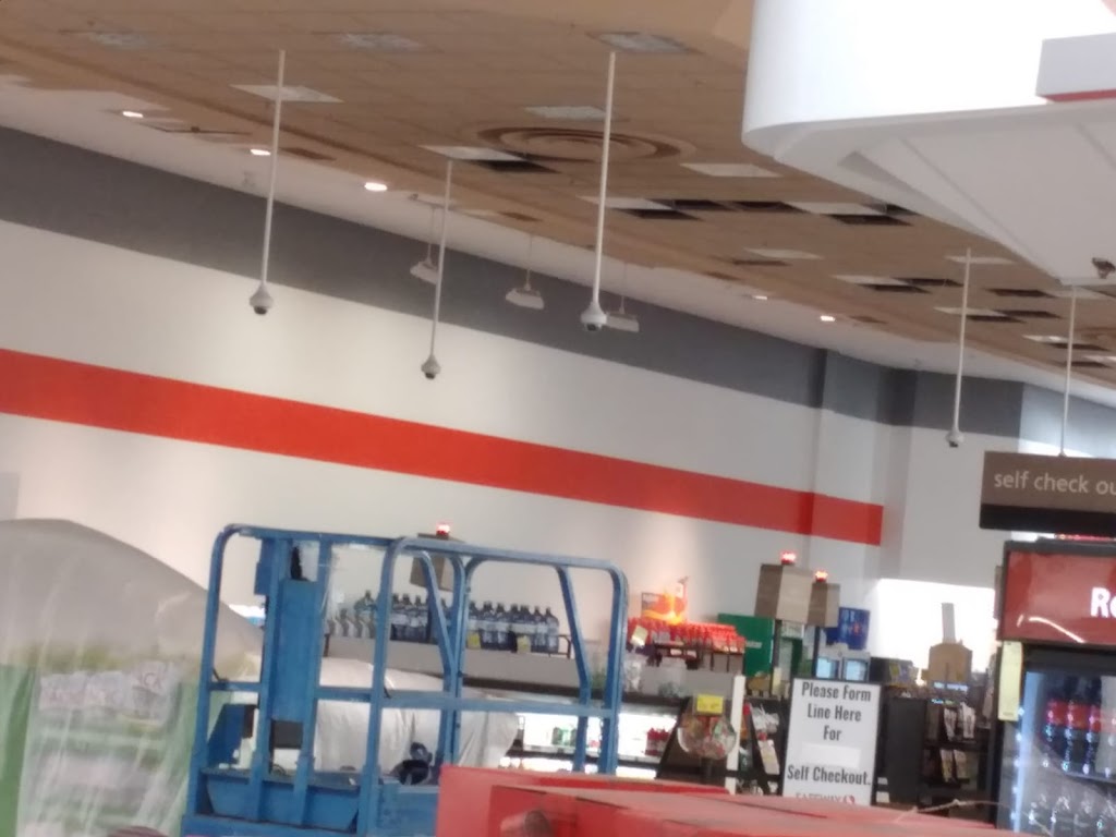 Oikos Painting Calgary | 221 Cornerbrook Common NE, Calgary, AB T3N 1A9, Canada | Phone: (403) 923-9359