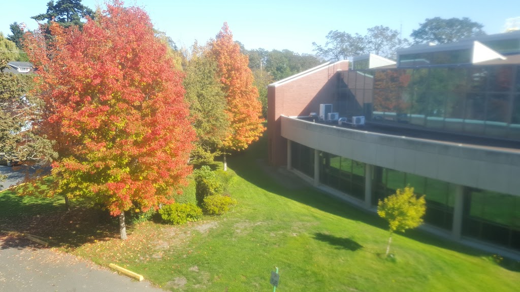 Camosun College Lansdowne Campus | 3100 Foul Bay Rd, Victoria, BC V8P 5J2, Canada | Phone: (250) 370-3000