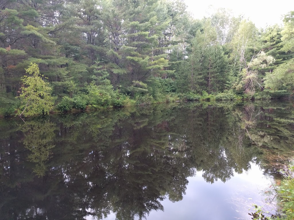 Algonquin Spirit Gallery | 5584, Madawaska Rd, South Algonquin, ON K0J 2C0, Canada | Phone: (416) 553-2466