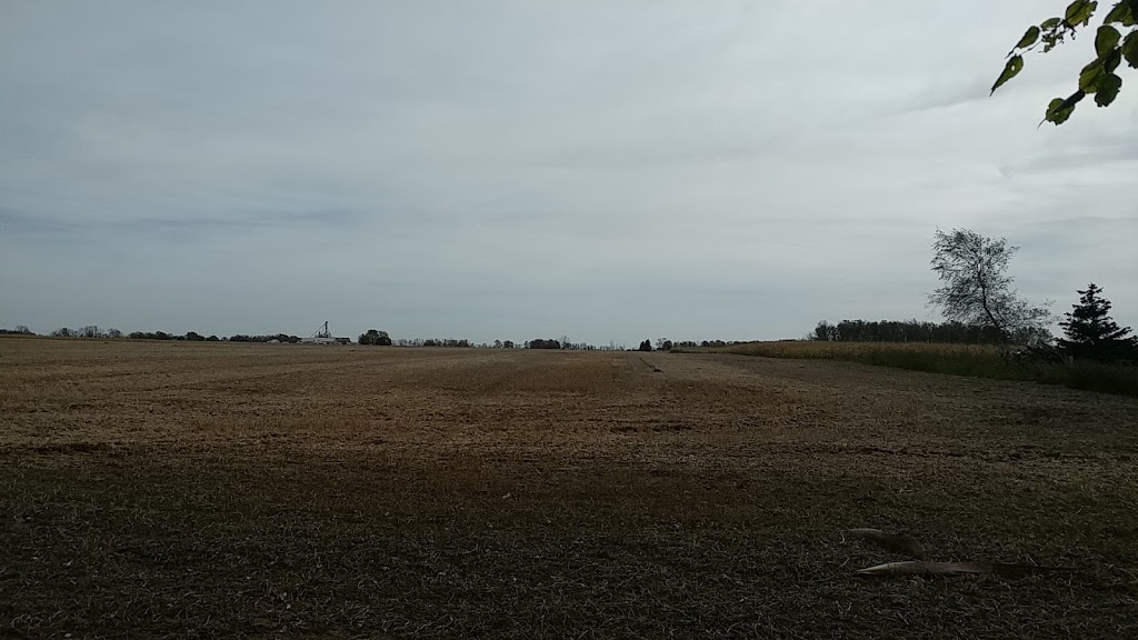 Leedham Farms L.T.D | 615 Front Rd, St Williams, ON N0E 1P0, Canada | Phone: (519) 586-2399