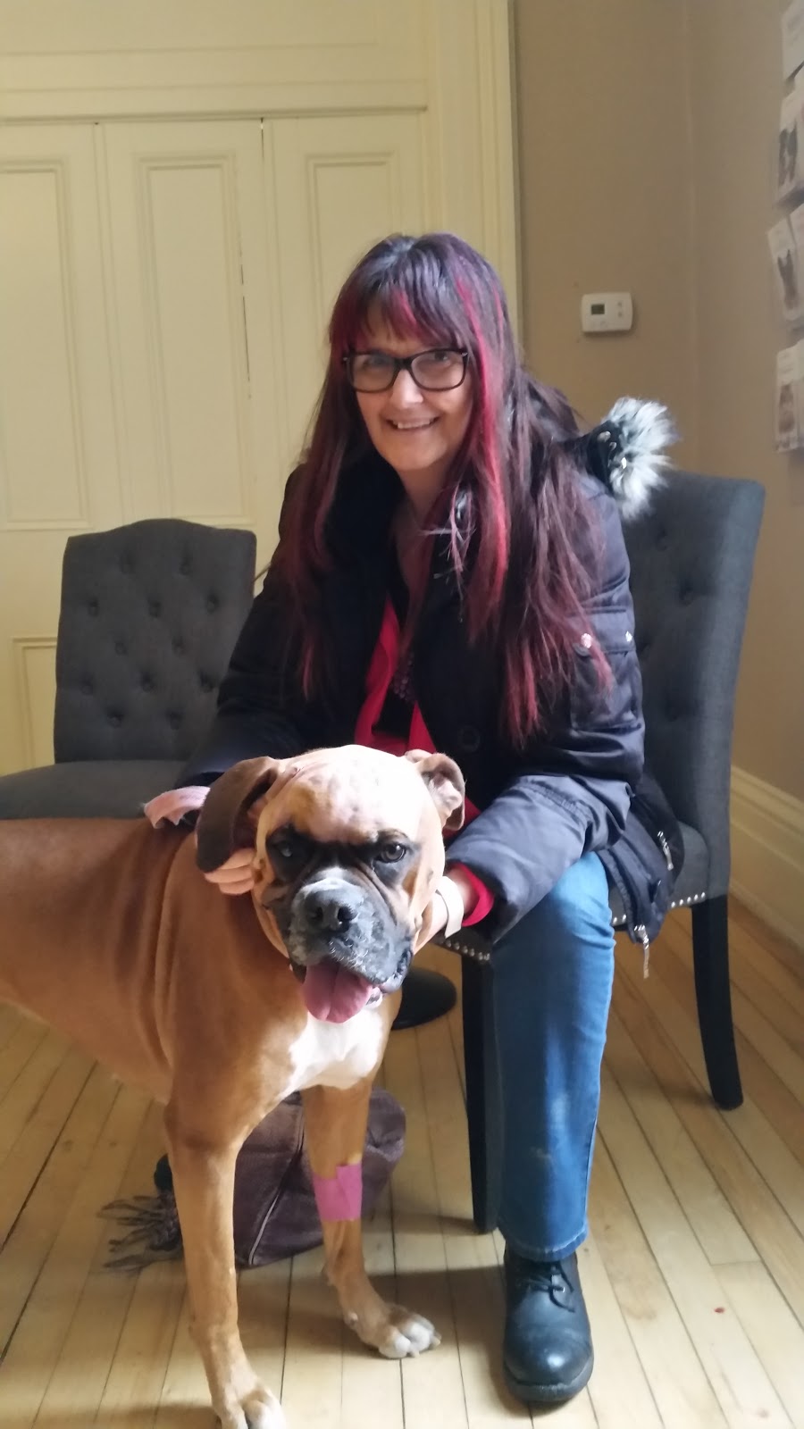 VCA Burnham Mansion Veterinary Services | 2235 Keene Rd, Peterborough, ON K9L 0B8, Canada | Phone: (705) 749-6767