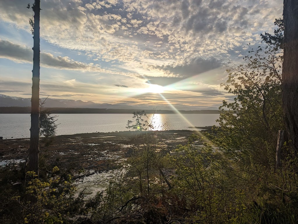Bradsdadsland Campsite | 2105 Shingle Spit Rd, Hornby Island, BC V0R 1Z0, Canada | Phone: (250) 335-0757