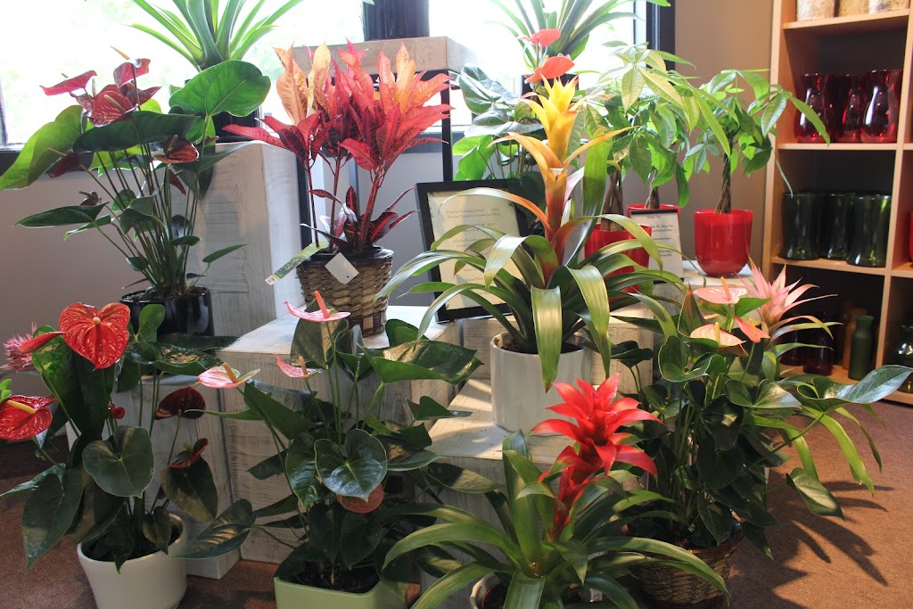 Arts Flowers Ltd. | 974 St Marys Rd, Winnipeg, MB R2M 3S1, Canada | Phone: (204) 253-0961